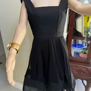 Alexis Black Mesh Mini Dress